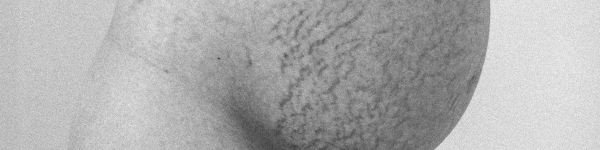 40 weeks pregnant (c) Julie Scheurweghs 40 weeks pregnant (c) Julie Scheurweghs