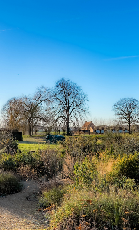 Ontwerp zonder titel - 2026-01-09T093007.316